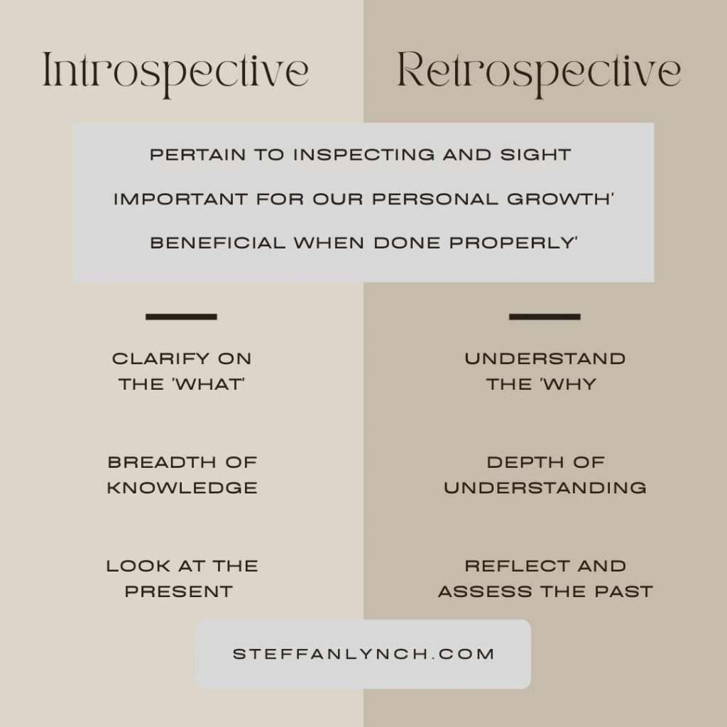 Introspective-vs-Perspective